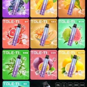 T1 萬口一次性主機 拋棄式電子煙 10000口續航 TOLE 一次性 電子菸 主機 加熱煙 拋棄式