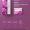 加熱煙 樂美 LEME T牌