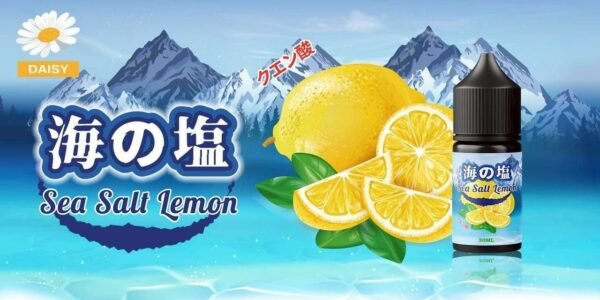 GENESIS GS DER 小油 油品