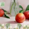 LEON 小菸油 加熱 主機 油品 小油 拋棄式